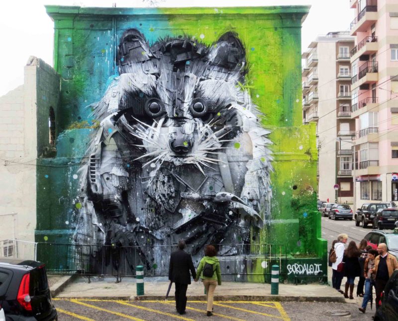 Bordalo makes raccoon